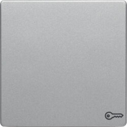 Berker Wippe M3Symbol Tuer Q1/Q3 alu samt lackiert