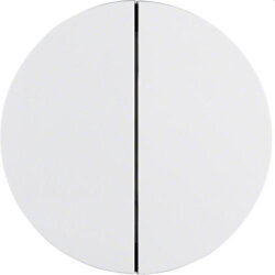 Berker Taste M385142139 2fach polarweiss glaenzend