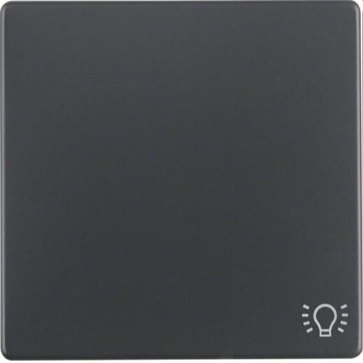 Berker Wippe M316206046 Symbol Licht anthrazit samt