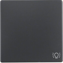 Berker Wippe M316206046 Symbol Licht anthrazit samt