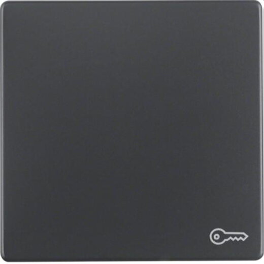 Berker Wippe M316206066 Symbol Tuer anthrazit samt