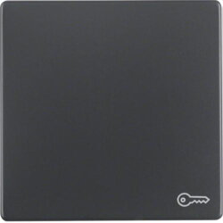 Berker Wippe M316206066 Symbol Tuer anthrazit samt