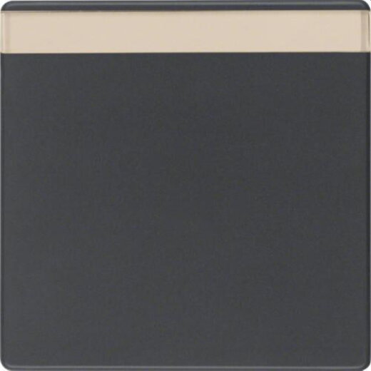 Berker Wippe M316266086 anthrazit samt