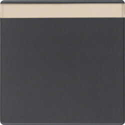 Berker Wippe M316266086 anthrazit samt