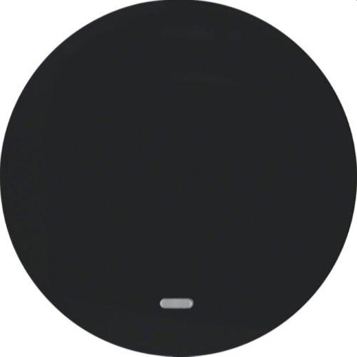 Berker Wippe M316212045 schwarz glaenzend