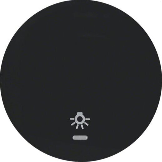 Berker Wippe M316212035 schwarz glaenzend