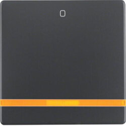Berker Wippe M316246086 anthrazit samt