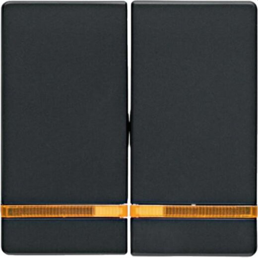 Berker Serienwippe M316276086 anthrazit samt