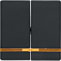 Berker Serienwippe M316276086 anthrazit samt