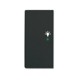 Busch-Jaeger 6231-21-885 2fach Licht Wippe