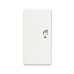 Busch-Jaeger 6233-21-884 2fach Szene Wippe