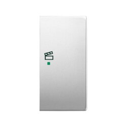 Busch-Jaeger 6233-22-866 2fach Szene Wippe