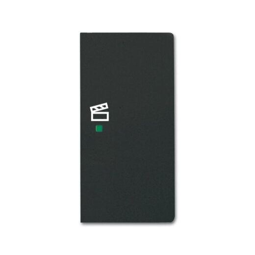 Busch-Jaeger 6233-22-885 2fach Szene Wippe