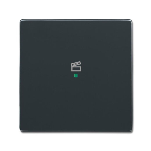 Busch-Jaeger 6233-10-81 1fach Symbol Szene Wippe