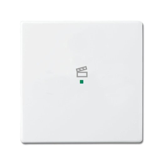 Busch-Jaeger 6233-10-84 1fach Symbol Szene Wippe