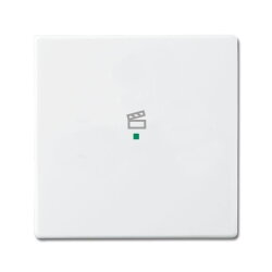 Busch-Jaeger 6233-10-84 1fach Symbol Szene Wippe