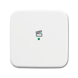 Busch-Jaeger 6233-10-214 1fach Symbol Szene Wippe