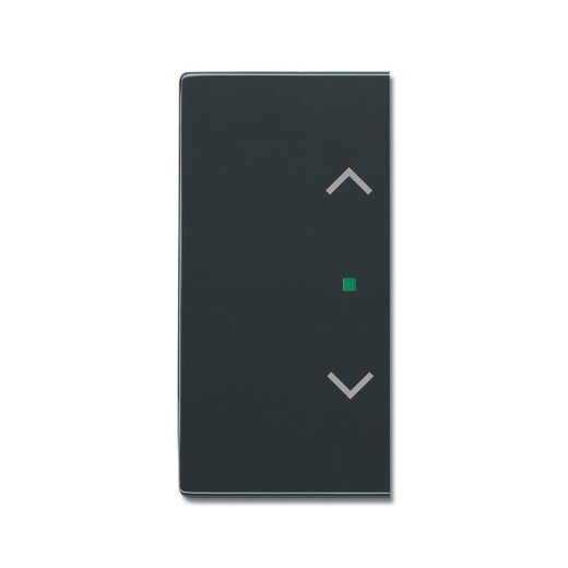 Busch-Jaeger 6232-20-81 2fach Symbol Jalousie Wippe