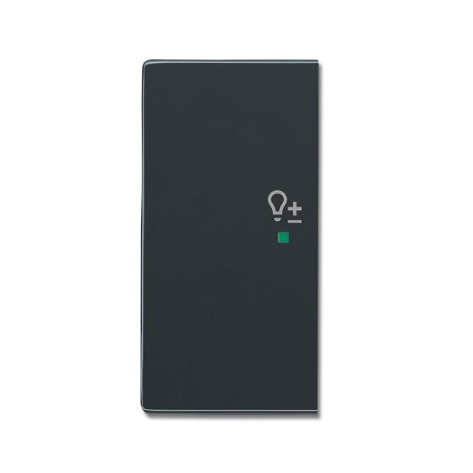 Busch-Jaeger 6234-21-81 2fach links Symbol Dimmer Wippe