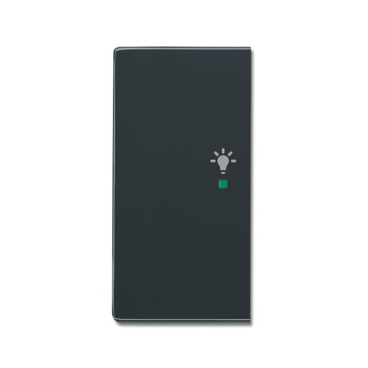 Busch-Jaeger 6231-21-81 2fach links Symbol Licht Wippe