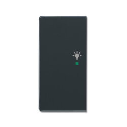 Busch-Jaeger 6231-21-81 2fach links Symbol Licht Wippe