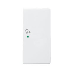 Busch-Jaeger 6234-22-84 2fach rechts Symbol Dimmer Wippe