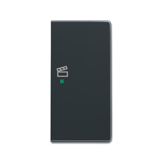 Busch-Jaeger 6233-22-81 2fach rechts Symbol Szene Wippe