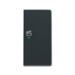 Busch-Jaeger 6233-22-81 2fach rechts Symbol Szene Wippe