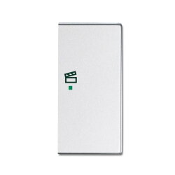 Busch-Jaeger 6233-22-83 2fach rechts Symbol Szene Wippe