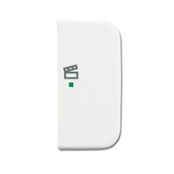 Busch-Jaeger 6233-22-214 2fach rechts Symbol Szene Wippe