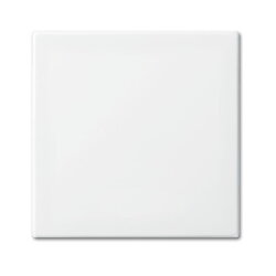 Busch-Jaeger 2506-914 Wippe