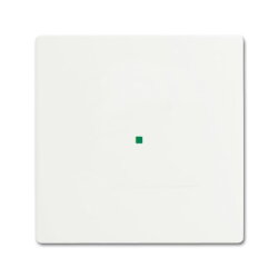 Busch-Jaeger 6230-10-884 1fach Wippe