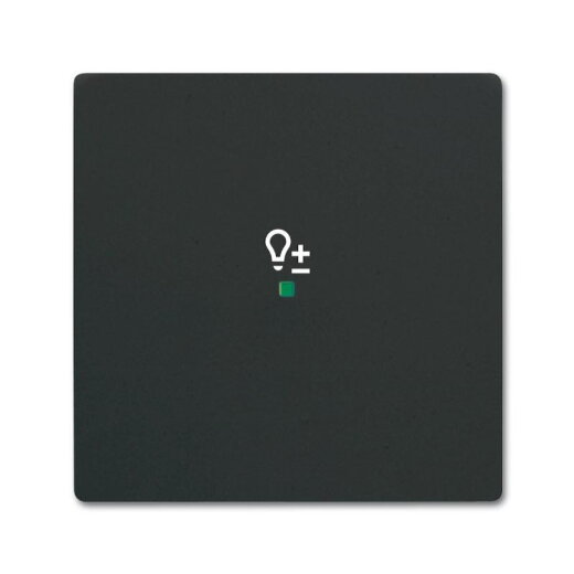 Busch-Jaeger 6234-10-885 1fach Dimmer Wippe