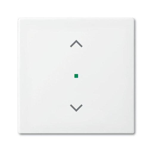 Busch-Jaeger 6232-10-914 1fach Jalousie Wippe