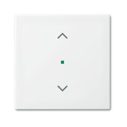 Busch-Jaeger 6232-10-914 1fach Jalousie Wippe