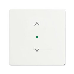 Busch-Jaeger 6232-10-884 1fach Jalousie Wippe