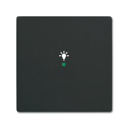 Busch-Jaeger 6231-10-885 1fach Licht Wippe