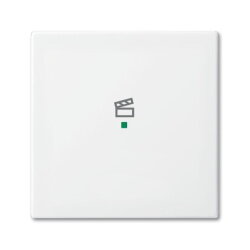 Busch-Jaeger 6233-10-914 1fach Szene Wippe