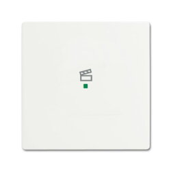 Busch-Jaeger 6233-10-884 1fach Szene Wippe