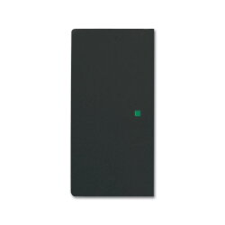 Busch-Jaeger 6230-20-885 2fach Wippe