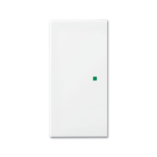 Busch-Jaeger 6230-20-914 2fach blind Wippe