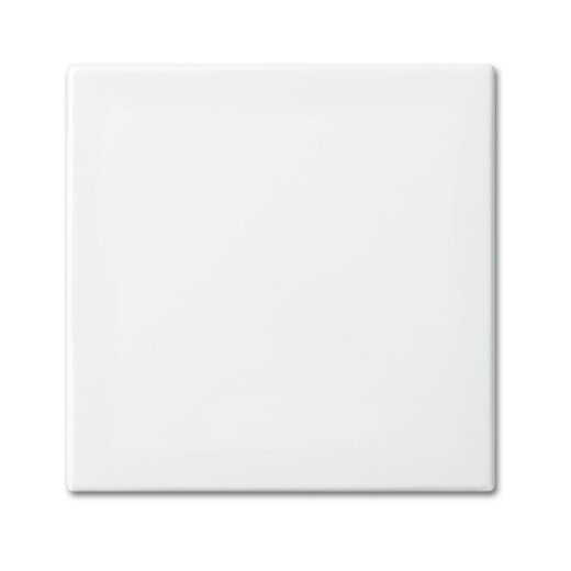 Busch-Jaeger 2546-914 anschraubbar Wippe