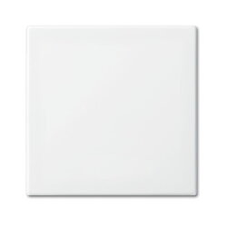 Busch-Jaeger 2546-914 anschraubbar Wippe