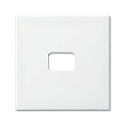 Busch-Jaeger 2520-914 Kalotte Wippe