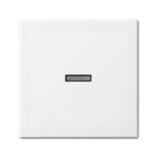 Busch-Jaeger 1789 N-914 Kontroll Wippe