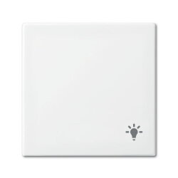 Busch-Jaeger 2520 LI-914 Licht Wippe