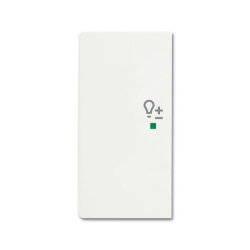 Busch-Jaeger 6234-21-884 2fach Dimmer Wippe