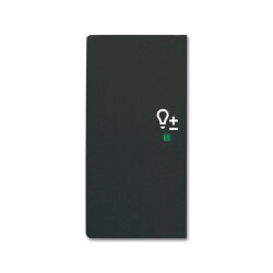 Busch-Jaeger 6234-21-885 2fach Dimmer Wippe