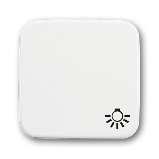 Busch-Jaeger 2520 LI-214 Symbol Licht Wippe