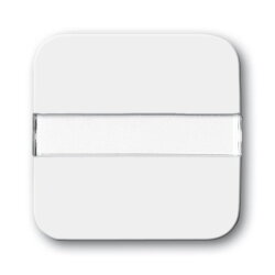 Busch-Jaeger 2506 N-214 mit Beschriftung Wippe